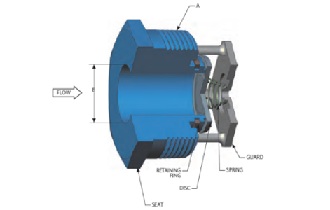 DFT Vacuum Breaker Check Valve